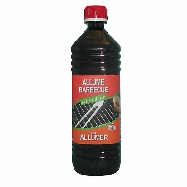 Castorama Allume Barbecue 1L meilleur service 1