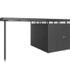 marque pas cher Castorama Auvent Taille L Biohort En Métal Coloris Gris Foncé Métallique Pour Abris De Jardin Série HighLine H4 5