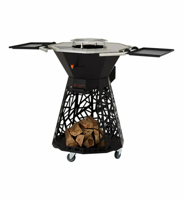 REMISE allant jusqu. Castorama Barbecue à Bois Et Charbon Design Brasero 1