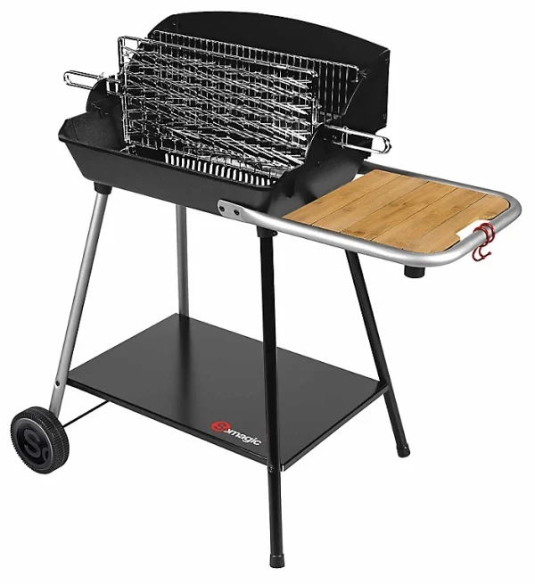 belle Castorama Barbecue Charbon De Bois Exel Duo Grill 1