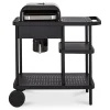 Service Clients Dédié Castorama Barbecue Charbon De Bois GoodHome Rockwell 210 Noir 7