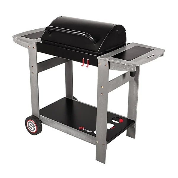 marques de renommée Castorama Barbecue Charbon De Bois Indiana 1