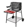 Castorama Barbecue Charbon De Bois Vertical Raymond magasin 5