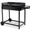 mode Castorama Barbecue Charbon De Bois Zelfo 5