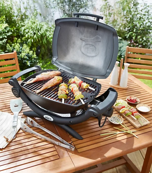 Castorama Barbecue électrique Weber Q1400 Dark Grey nouvelle saison 1