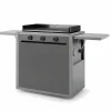 Castorama Chariot Pour Plancha Modern 75 offre spéciale 5