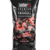 solde en ligne Castorama Sac De Charbon De Bois Weber 10kg Dont 1kg Gratuit 5